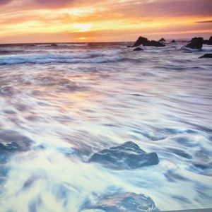 Meet your Posher, Sally